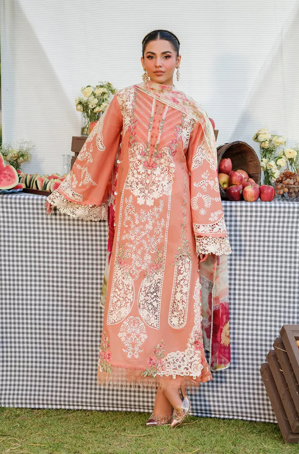 3 Piece Chickenkari Embroidered Lawn Suit UR22