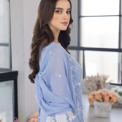 Azure Embroidered 3 Piece Organza dress with Organza duppata WC1123